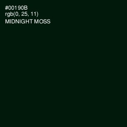 #00190B - Midnight Moss Color Image